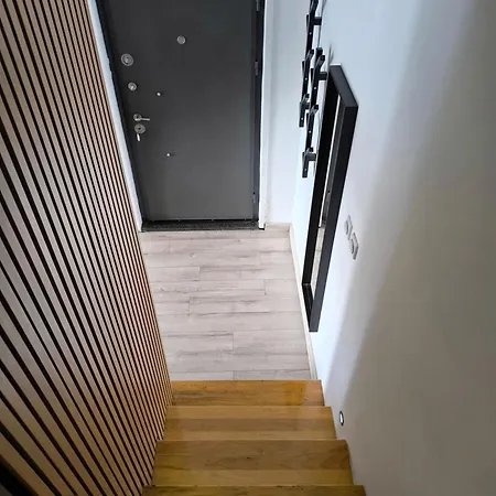 Dositej ノヴィ・サド