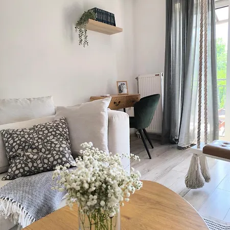 Dositej * ノヴィ・サド