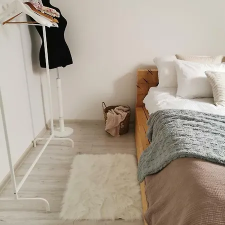 Dositej ノヴィ・サド